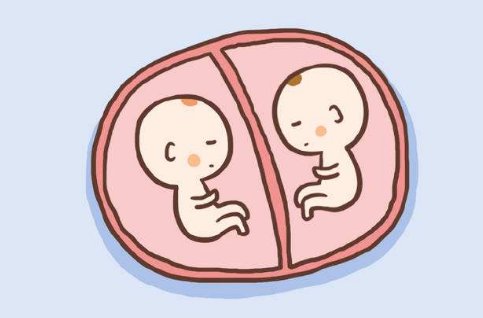 单绒双羊是什么意思