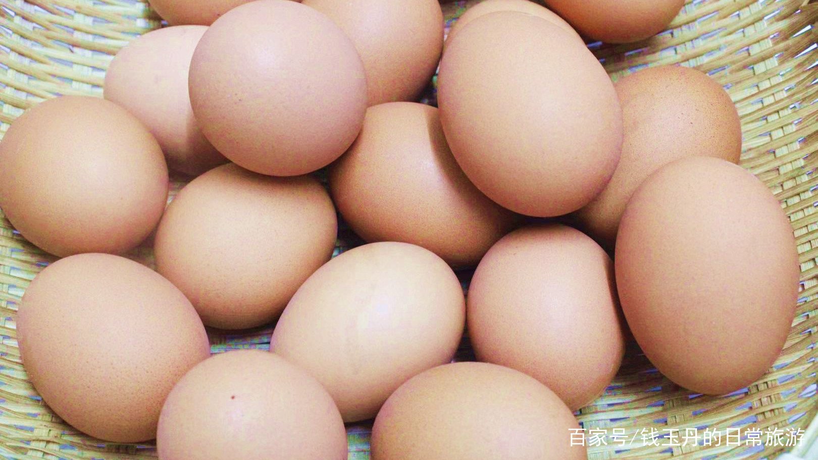 人造蛋与鸡蛋的区别有哪些?