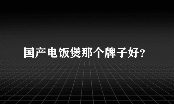 国产电饭煲那个牌子好？