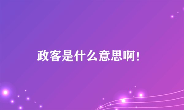 政客是什么意思啊！