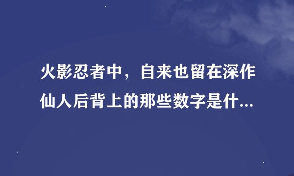 火影忍者中，自来也留在深作仙人后背上的那些数字是什么意思？