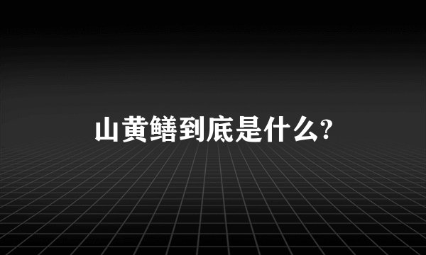 山黄鳝到底是什么?