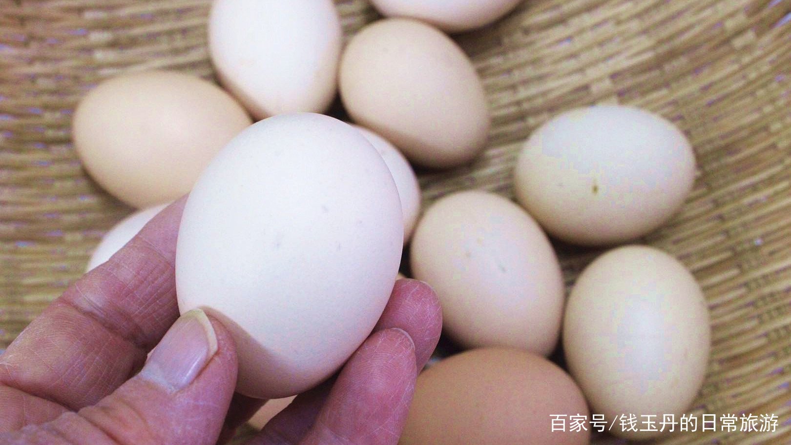 人造蛋与鸡蛋的区别有哪些?