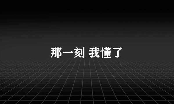 那一刻 我懂了