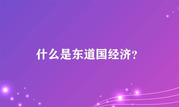 什么是东道国经济？