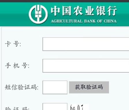 中国农业银行余额查询怎么查?