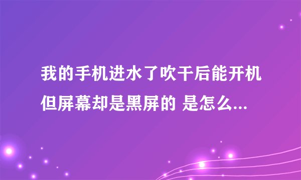 我的手机进水了吹干后能开机但屏幕却是黑屏的 是怎么回事啊？