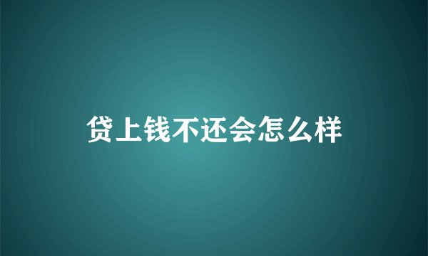 贷上钱不还会怎么样