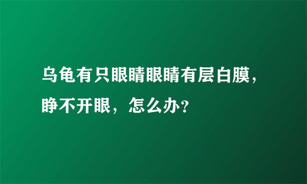 乌龟有只眼睛眼睛有层白膜，睁不开眼，怎么办？