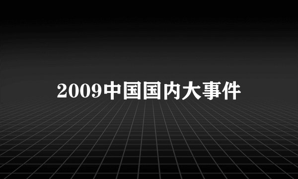 2009中国国内大事件