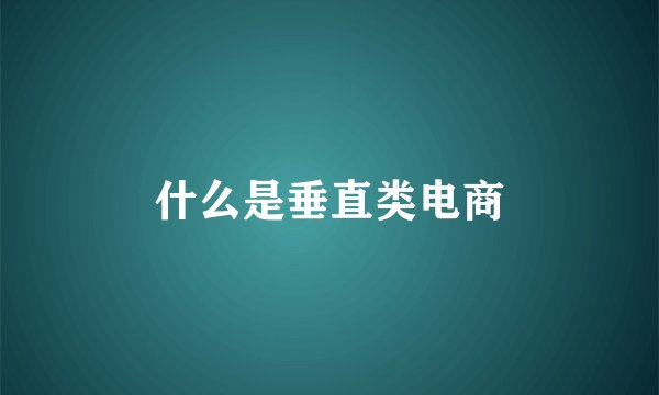 什么是垂直类电商