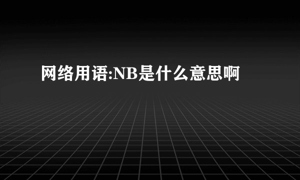 网络用语:NB是什么意思啊