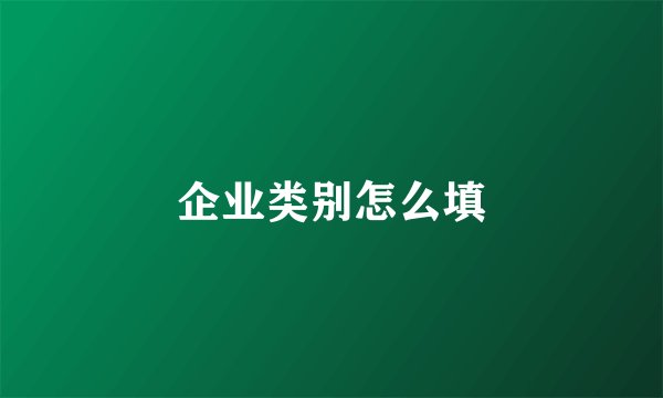 企业类别怎么填