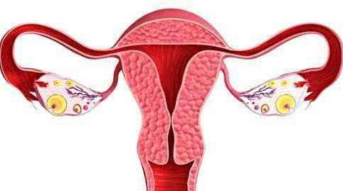 药物流产需要休息几天