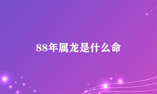 88年属龙是什么命