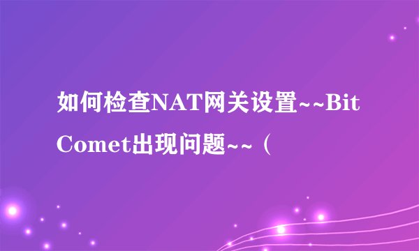 如何检查NAT网关设置~~BitComet出现问题~~（