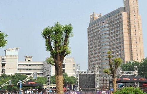 武汉有哪些211大学