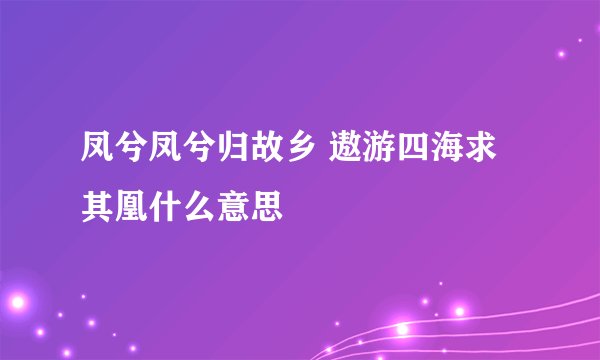 凤兮凤兮归故乡 遨游四海求其凰什么意思