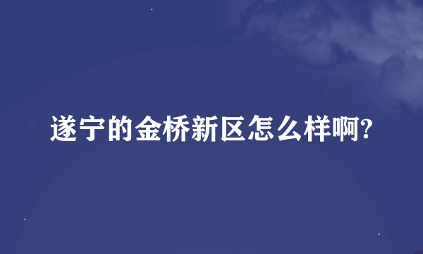 遂宁的金桥新区怎么样啊?