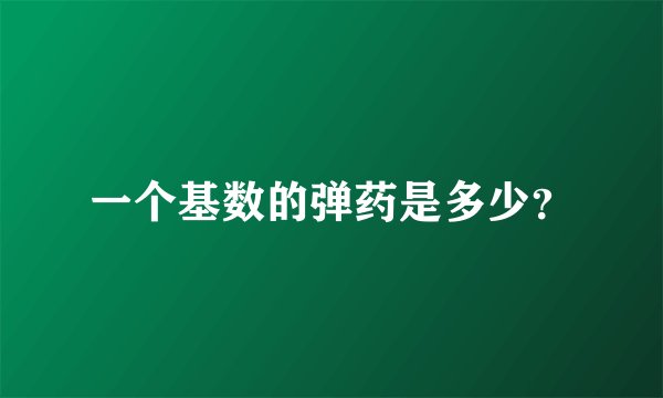 一个基数的弹药是多少？