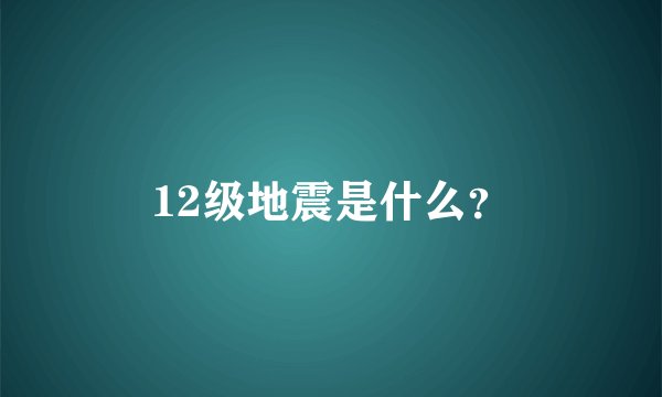 12级地震是什么？