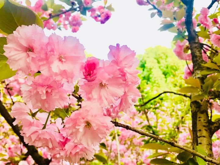 中南民族大学怎么样啊？