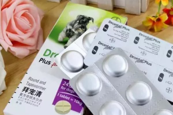 小狗用什么驱虫药比较好？急！！！！