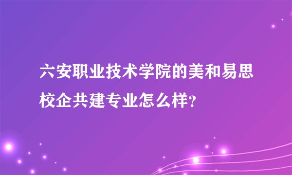 六安职业技术学院的美和易思校企共建专业怎么样？