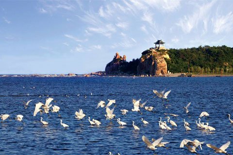 对毛主席诗词《浪淘沙 北戴河》的赏析？