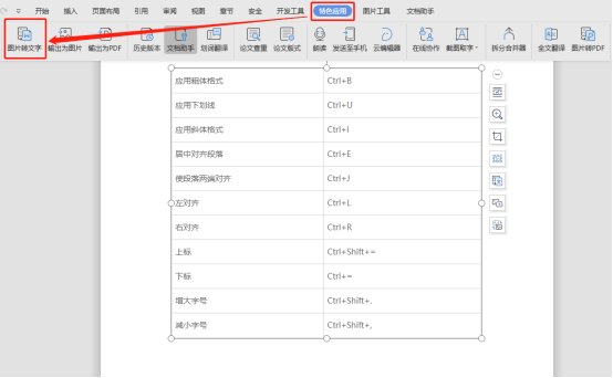 word文档图片转换成文字
