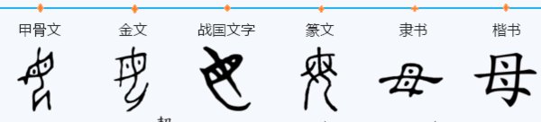 母字的笔顺有两种写法，哪种写法正确