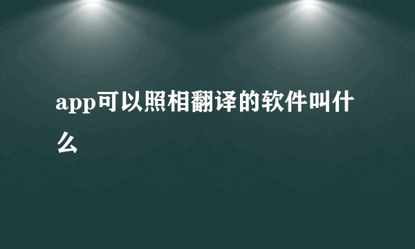 app可以照相翻译的软件叫什么