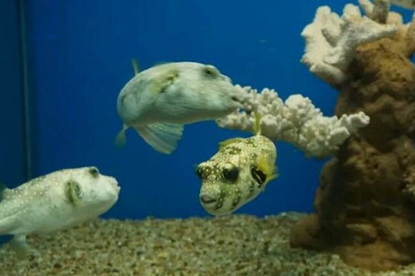 北海,海洋之窗和海底世界哪个好玩