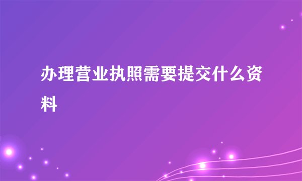 办理营业执照需要提交什么资料