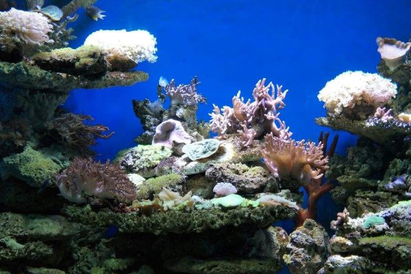 北海,海洋之窗和海底世界哪个好玩