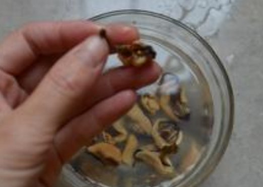 淡菜干怎么清洗图解