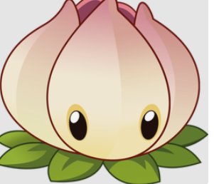 能量花是什么颜色的植物