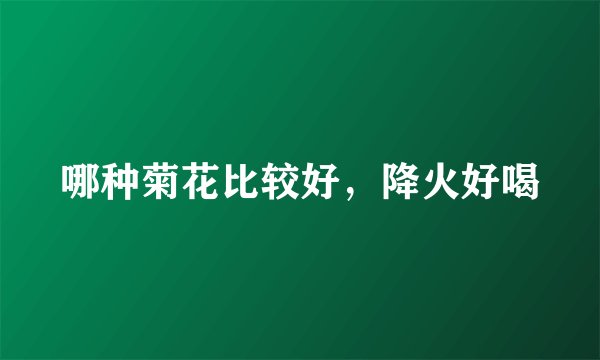 哪种菊花比较好，降火好喝