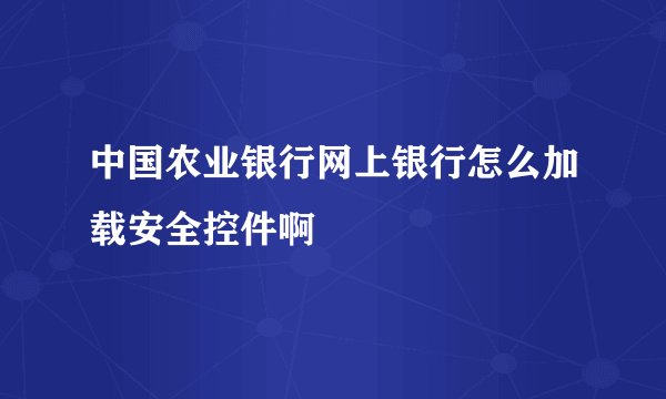 中国农业银行网上银行怎么加载安全控件啊
