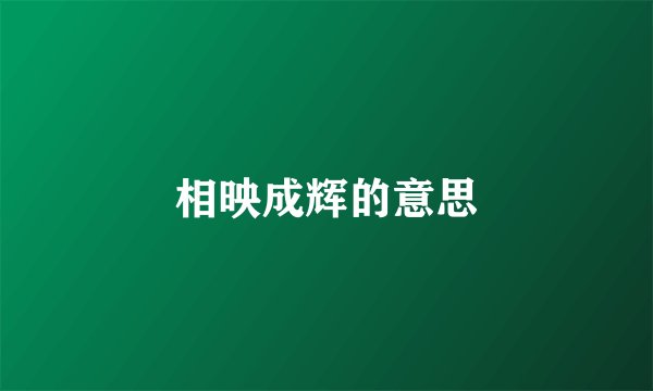 相映成辉的意思