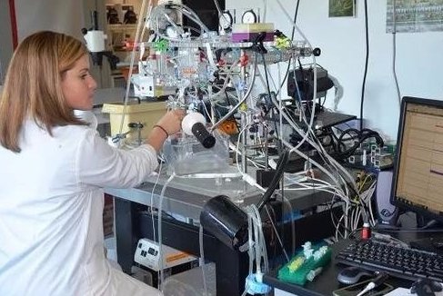 实验动物的生物安全性,指的是涉及动物的哪种实验?