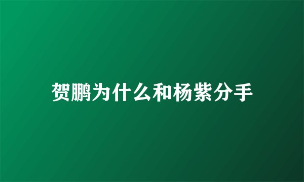 贺鹏为什么和杨紫分手
