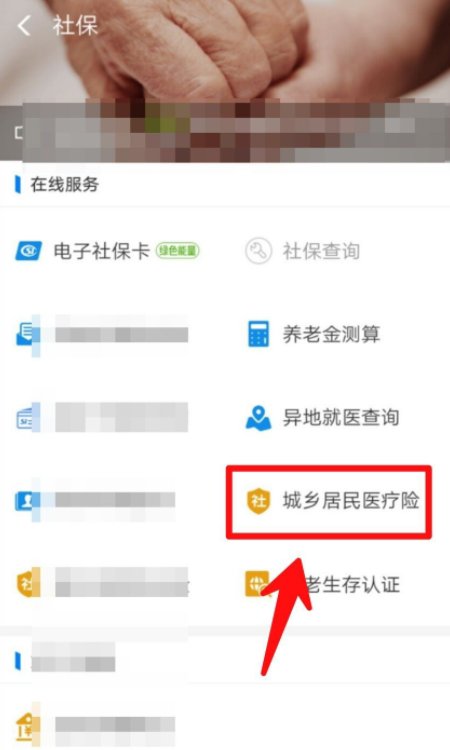 农村医保缴费怎么查