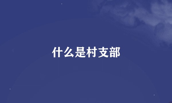 什么是村支部