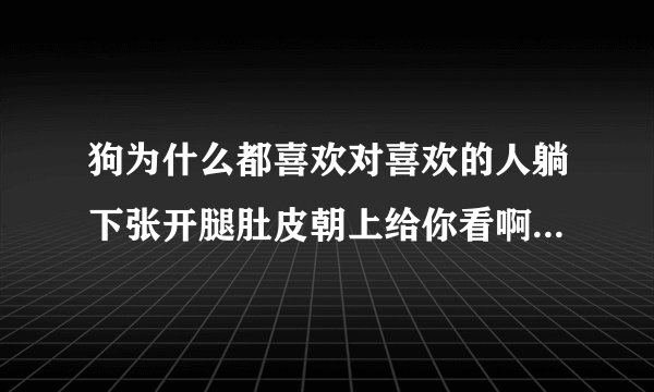 狗为什么都喜欢对喜欢的人躺下张开腿肚皮朝上给你看啊？是不是被人类驯化的啊？其他小动物就没这怪癖，能