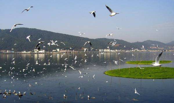 昆明西山旅游攻略有哪些?