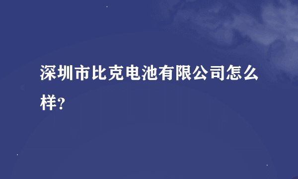 深圳市比克电池有限公司怎么样？