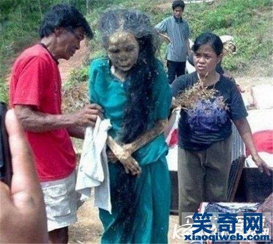 凌惠平的发现经历