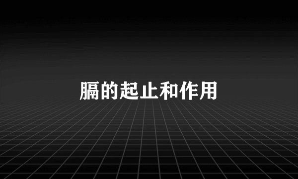 膈的起止和作用