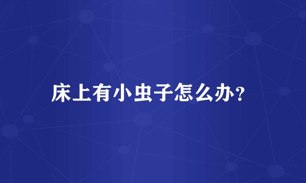 床上有小虫子怎么办？